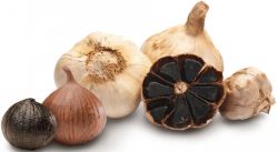 Black Garlic 