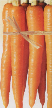 http://www.discountjuicers.com/images/carrots.jpg