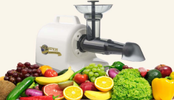 Champion 4000 Juicer with Fruits