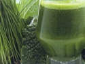 Omega Cube Juicer Makes Wheatgrass and Green Juice