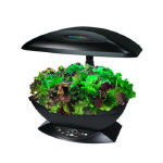 Aerogrow Kitchen Garden Appliance