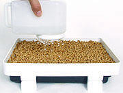 watering.jpg (7084 bytes)