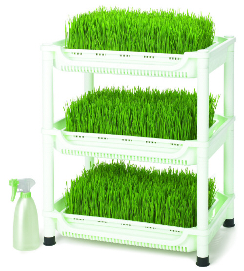 Sproutman's Soil Free Wheatgrass Grower Grow Wheat Grass ...